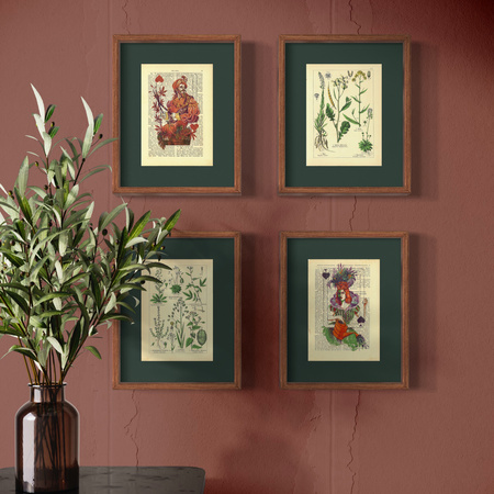 The kingdom of plants - poster set 17,5 x 23,2 cm