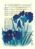 Iris flowers poster 19,1 x 26,6 cm