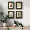 The kingdom of plants - poster set 17,5 x 23,2 cm