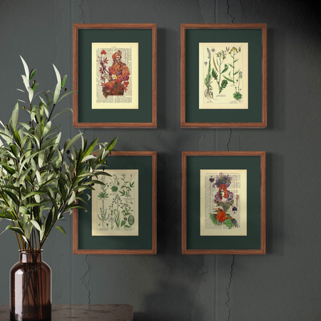 The kingdom of plants - poster set 17,5 x 23,2 cm