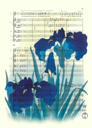 Iris flowers poster 19,1 x 26,6 cm