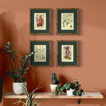 The kingdom of plants - poster set 17,5 x 23,2 cm