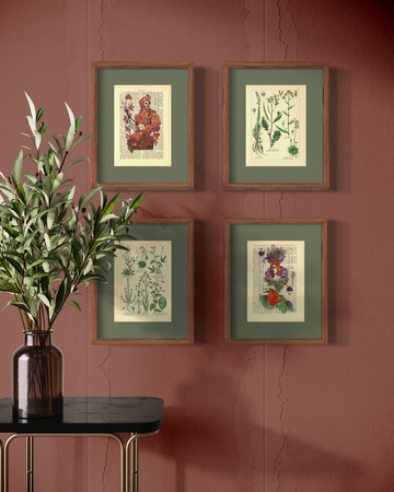 The kingdom of plants - poster set 17,5 x 23,2 cm