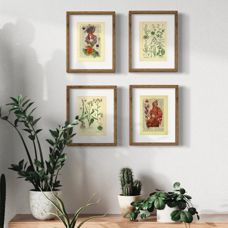 The kingdom of plants - poster set 17,5 x 23,2 cm