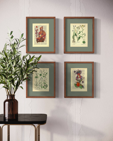 The kingdom of plants - poster set 17,5 x 23,2 cm